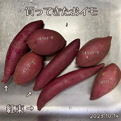 f:id:morinobanana:20231112233329j:image f:id:morinobanana:20231112233329j:image