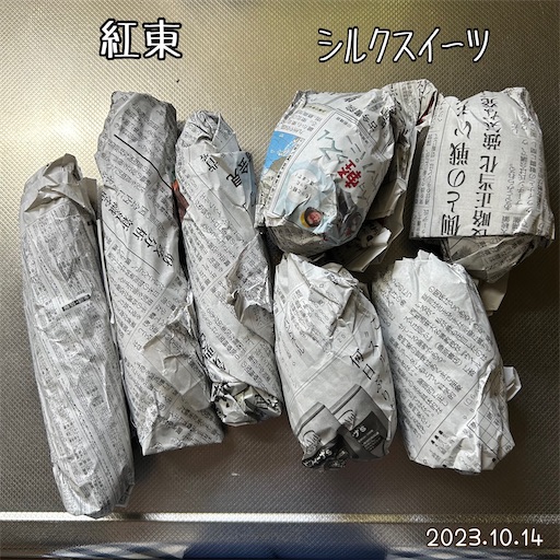 f:id:morinobanana:20231112233430j:image f:id:morinobanana:20231112233430j:image