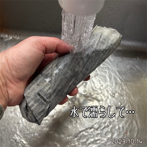 f:id:morinobanana:20231112233610j:image f:id:morinobanana:20231112233610j:image