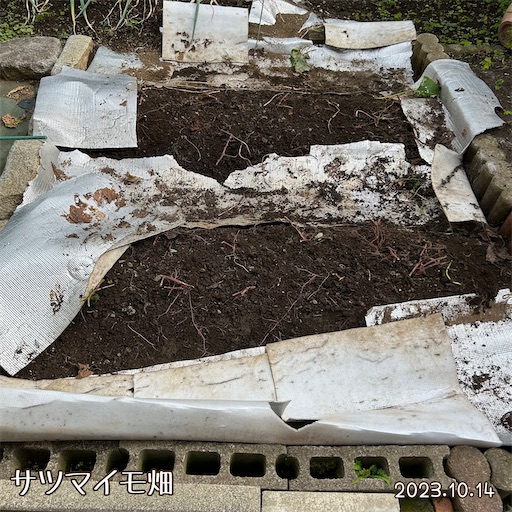 f:id:morinobanana:20231112233937j:image f:id:morinobanana:20231112233937j:image