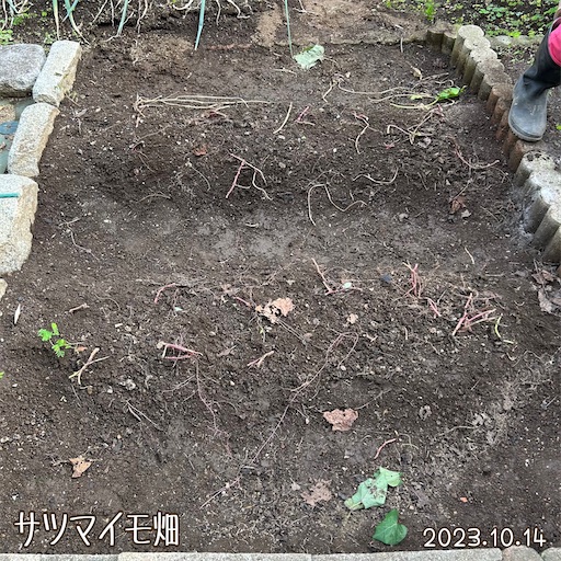 f:id:morinobanana:20231112234003j:image f:id:morinobanana:20231112234003j:image
