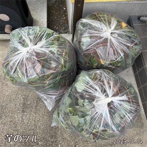f:id:morinobanana:20231112234220j:image f:id:morinobanana:20231112234220j:image