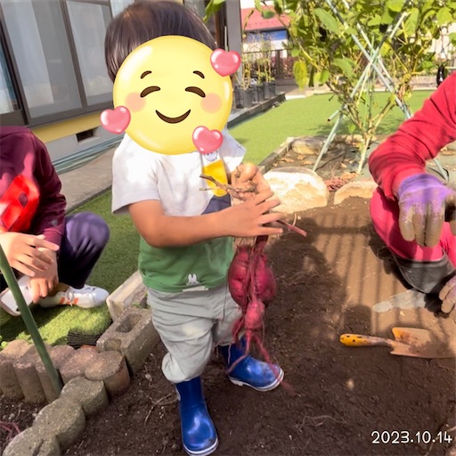 f:id:morinobanana:20231118215854j:image f:id:morinobanana:20231118215854j:image