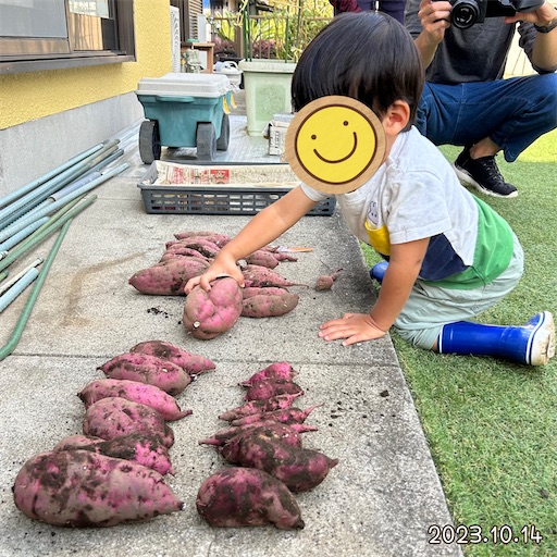 f:id:morinobanana:20231118222532j:image f:id:morinobanana:20231118222532j:image