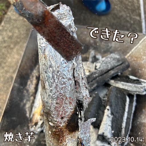 f:id:morinobanana:20231118223123j:image f:id:morinobanana:20231118223123j:image