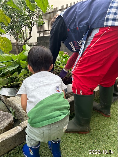 f:id:morinobanana:20231118224837j:image f:id:morinobanana:20231118224837j:image