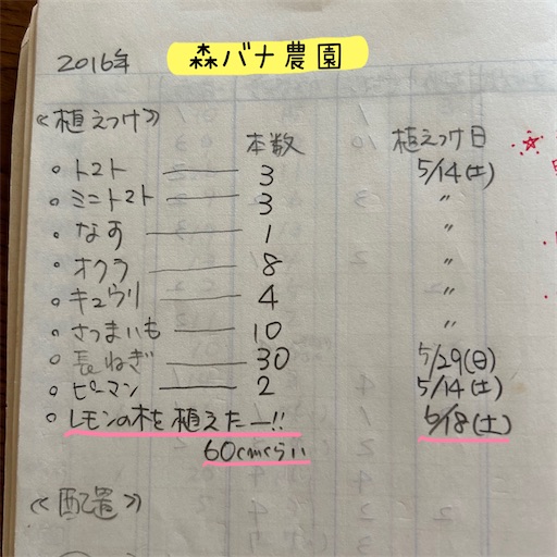 f:id:morinobanana:20240217113228j:image f:id:morinobanana:20240217113228j:image
