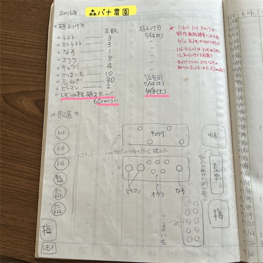f:id:morinobanana:20240217113246j:image f:id:morinobanana:20240217113246j:image