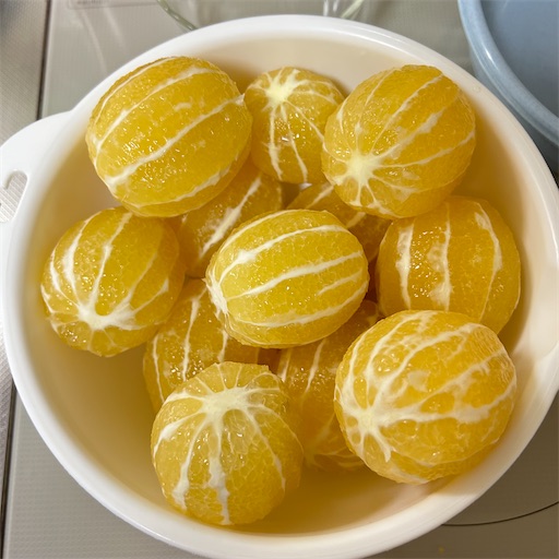 f:id:morinobanana:20240217121056j:image f:id:morinobanana:20240217121056j:image