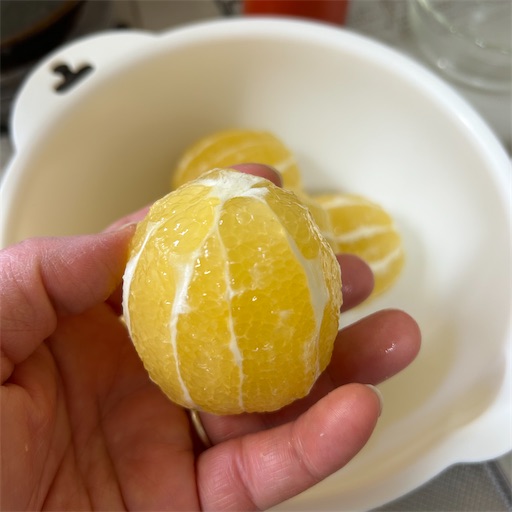 f:id:morinobanana:20240217121059j:image f:id:morinobanana:20240217121059j:image