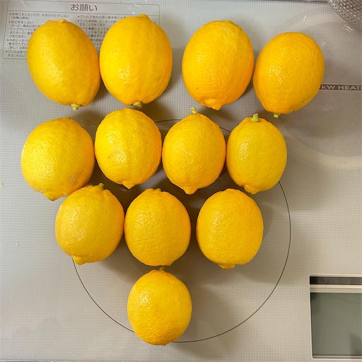 f:id:morinobanana:20240217122548j:image f:id:morinobanana:20240217122548j:image