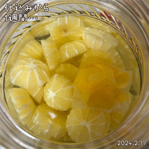 f:id:morinobanana:20240217123603j:image f:id:morinobanana:20240217123603j:image