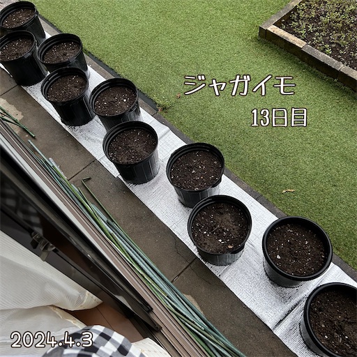 f:id:morinobanana:20240418163322j:image