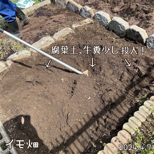f:id:morinobanana:20240418170824j:image