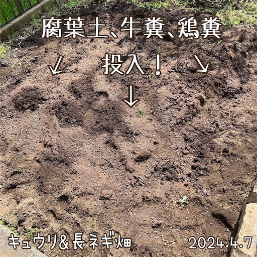 f:id:morinobanana:20240418170838j:image