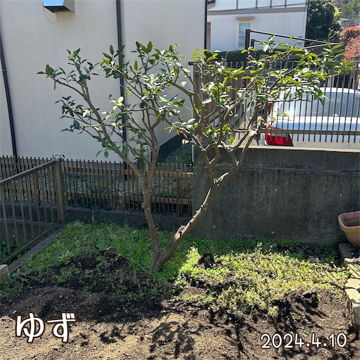 f:id:morinobanana:20240418172020j:image