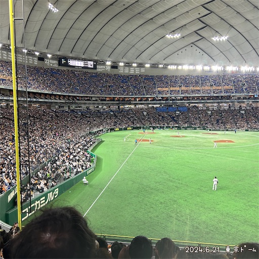 f:id:morinobanana:20240624161019j:image