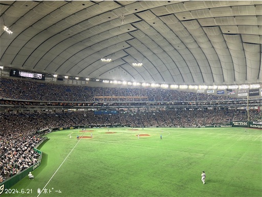 f:id:morinobanana:20240624161024j:image