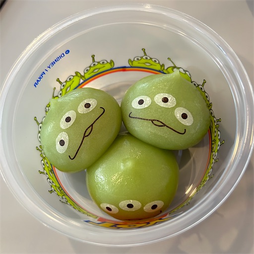 f:id:morinobanana:20240809123648j:image