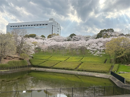 f:id:morinobanana:20250421161752j:image f:id:morinobanana:20250421161752j:image