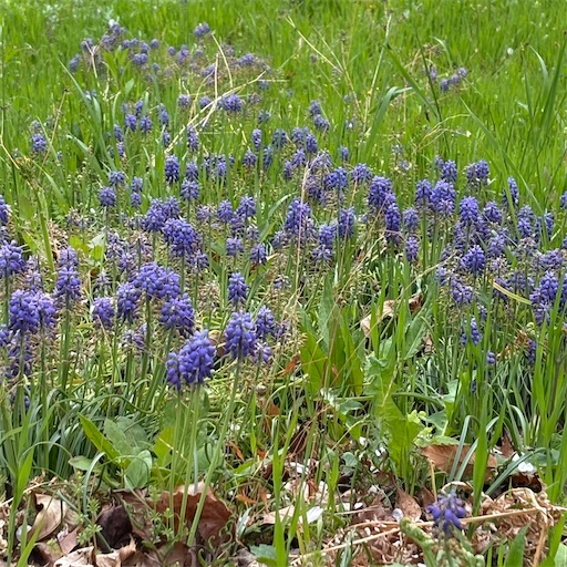 f:id:morinobanana:20250421162415j:image f:id:morinobanana:20250421162415j:image