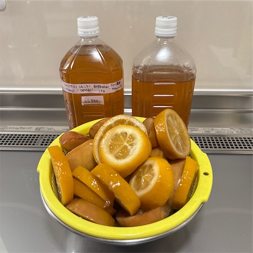 f:id:morinobanana:20250628104522j:image f:id:morinobanana:20250628104522j:image