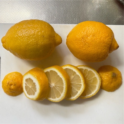 f:id:morinobanana:20250628110517j:image f:id:morinobanana:20250628110517j:image