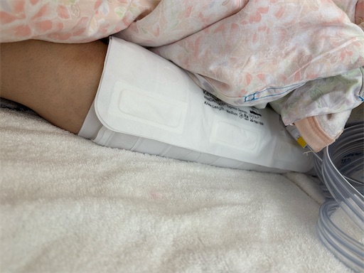 f:id:morinobanana:20250710110947j:image f:id:morinobanana:20250710110947j:image