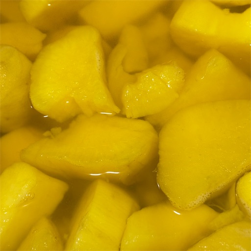 f:id:morinobanana:20260104184637j:image