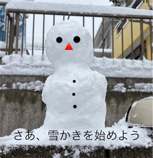 f:id:morinobanana:20260307225320j:image