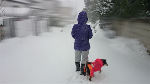 f:id:morinobanana:20260307232012j:image