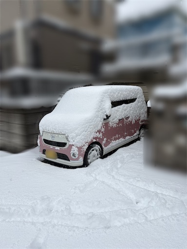 f:id:morinobanana:20260307232959j:image
