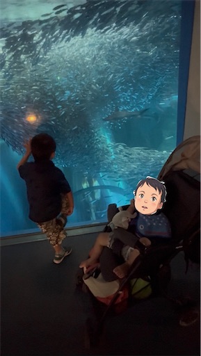 f:id:morinobanana:20260717213754j:image