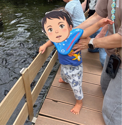 f:id:morinobanana:20260720215114j:image