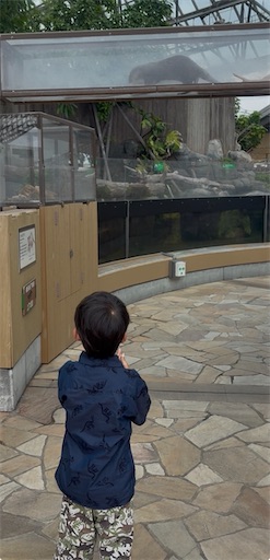 f:id:morinobanana:20260720215327j:image