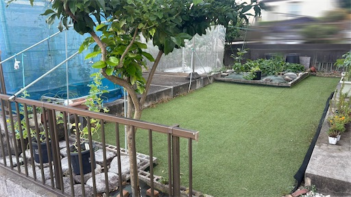f:id:morinobanana:20260831071939j:image