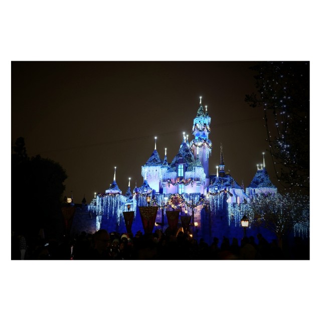 f:id:morinobearintheforest:20251230104520j:image