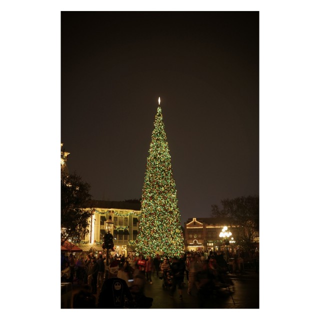 f:id:morinobearintheforest:20251230105029j:image