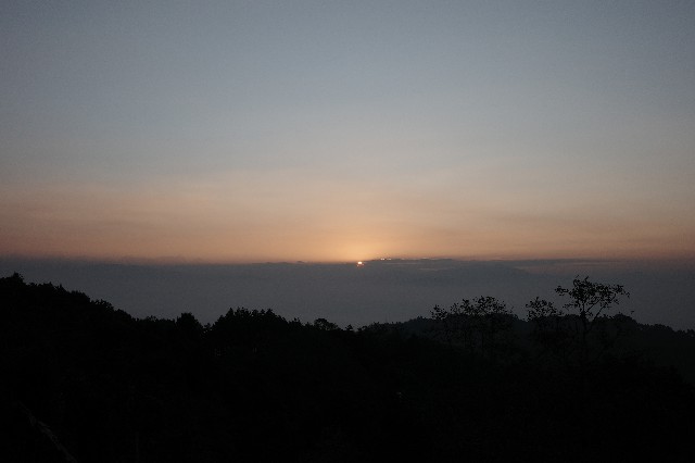 f:id:morinobearintheforest:20260307141339j:image