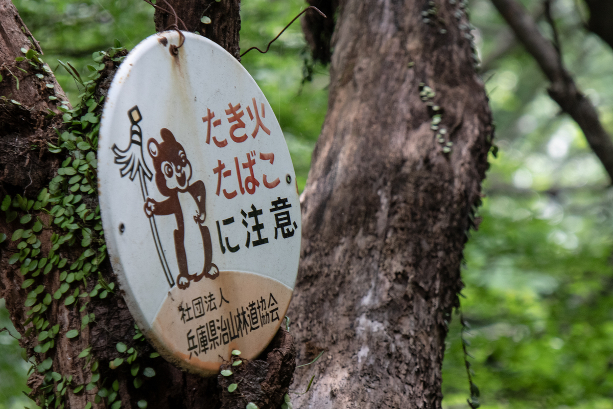 神戸】六甲山で見つけた謎のリスは、山火事防止アニメ「リスのまとい