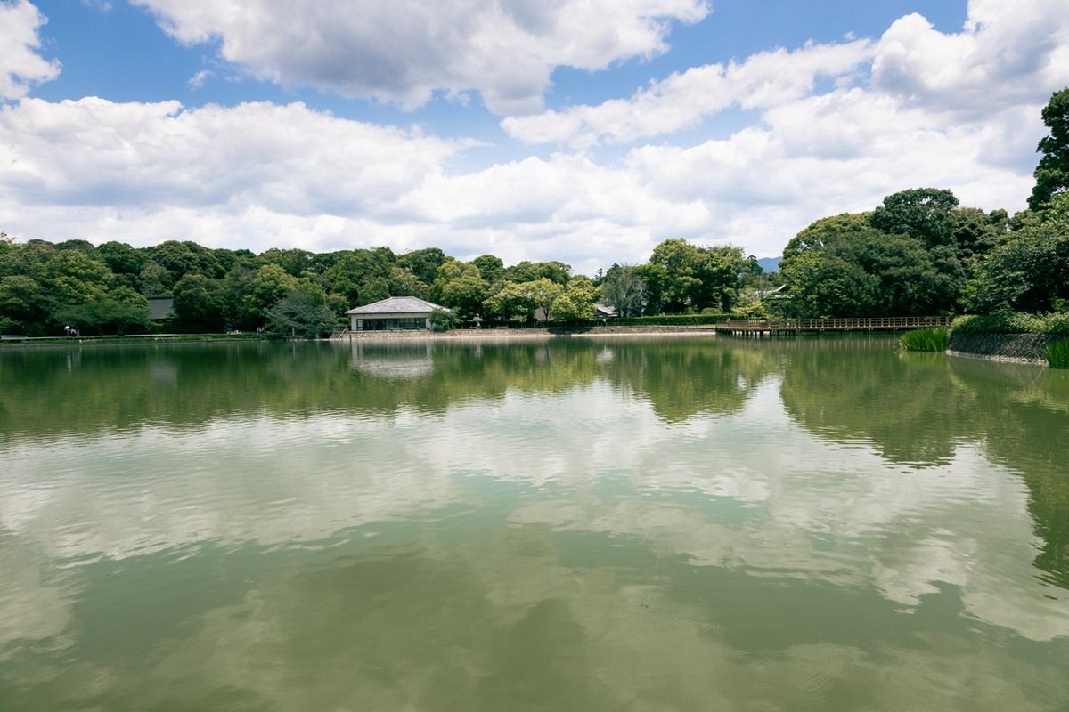 橿原神宮　八咫烏　肉池 橿原神宮 正遷座祭 記念 開運の瑞鳥 八咫烏 肉池 新品 未