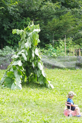f:id:morinohiroba:20120823215000j:image