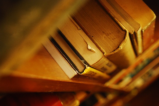 f:id:morinokanata:20160811140810j:plain