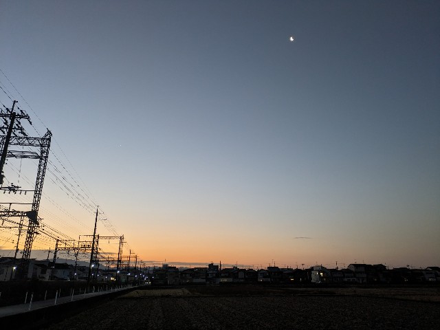 f:id:morinokinoco:20240209104009j:image
