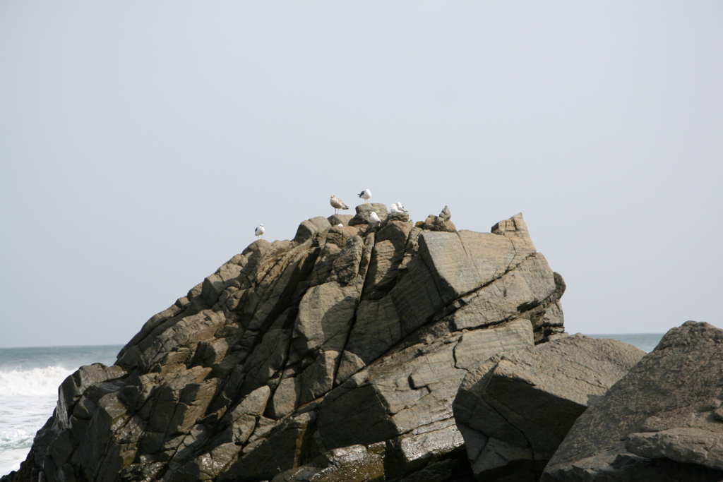 青森・種差海岸