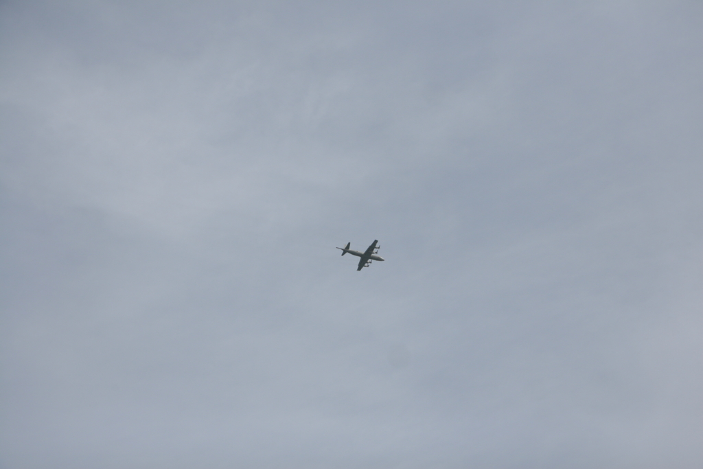 青森・種差海岸