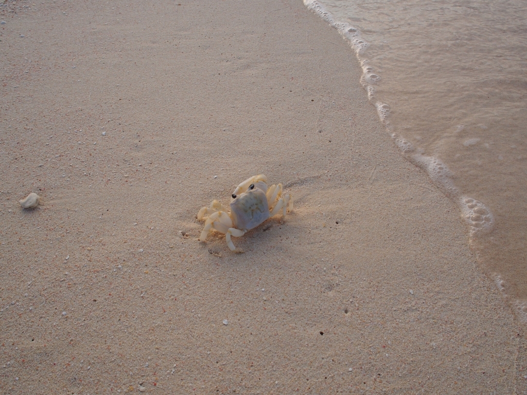 与那覇前浜ビーチ