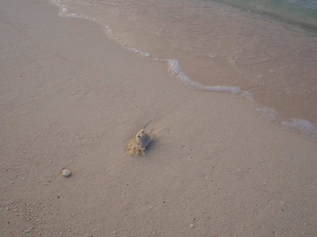 与那覇前浜ビーチ