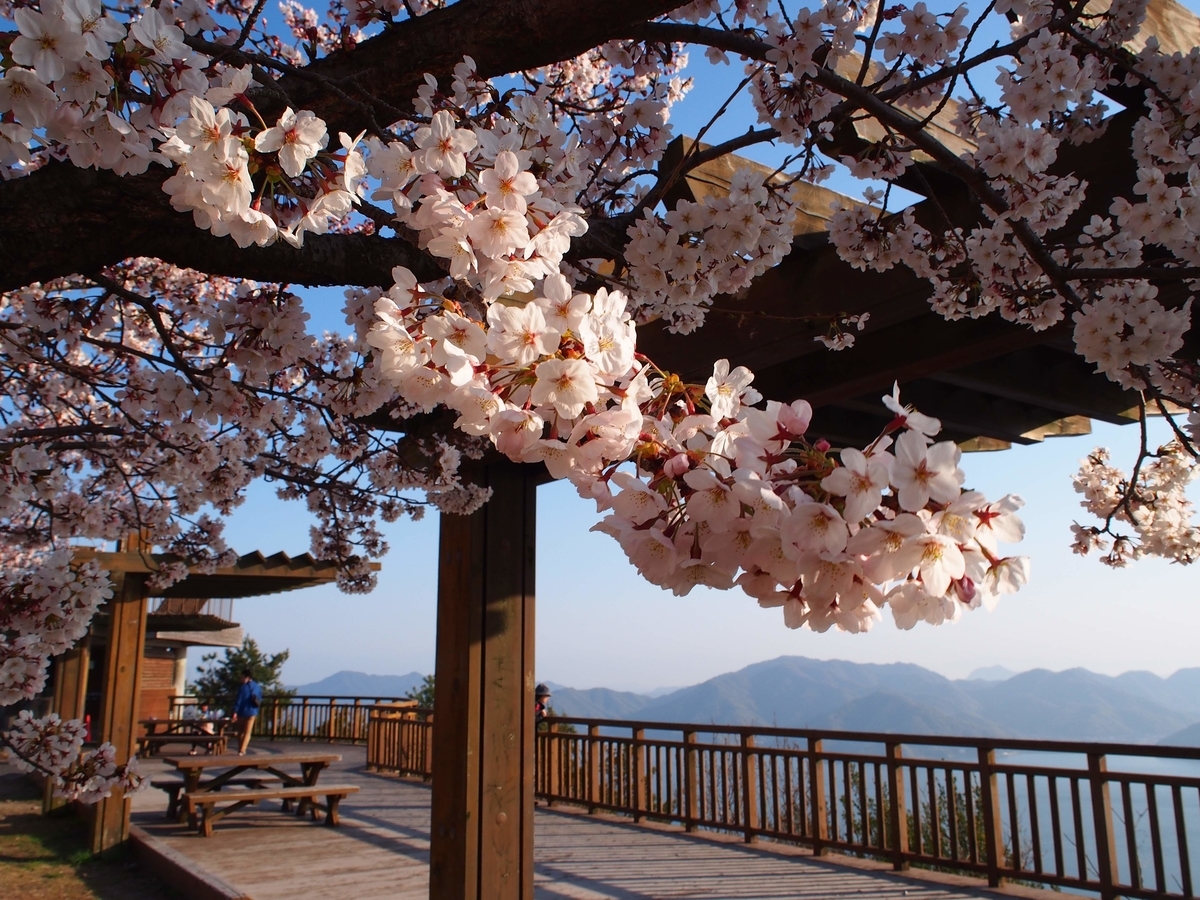 f:id:morinokotabi:20190522210510j:plain f:id:morinokotabi:20190522210510j:plain