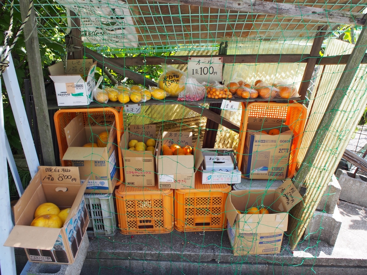 f:id:morinokotabi:20190615131452j:plain f:id:morinokotabi:20190615131452j:plain